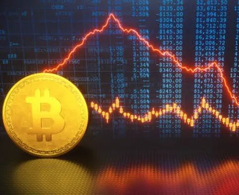 Dash Avage 500 - Gain Financial Independence Through Self-Managed Investing with Dash Avage 500